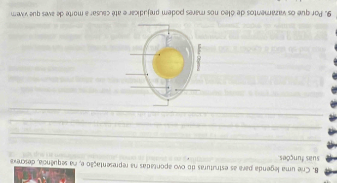 Crie uma legenda para as estruturas do ovo apontadas na representação e, na sequência, descreva 
suas funções. 
_ 
_ 
_ 
_ 
_ 
_ 
_ 
9. Por que os vazamentos de óleo nos mares podem prejudicar e até causar a morte de aves que vivem