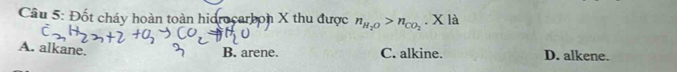 Đốt cháy hoàn toàn hidrocarbon X thu được n_H_2O>n_CO_2. X là
A. alkane. B. arene. C. alkine. D. alkene.