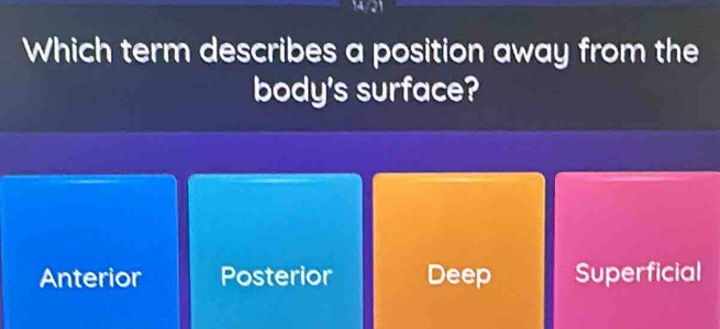 Which term describes a position away from the
body's surface?
Anterior Posterior Deep Superficial