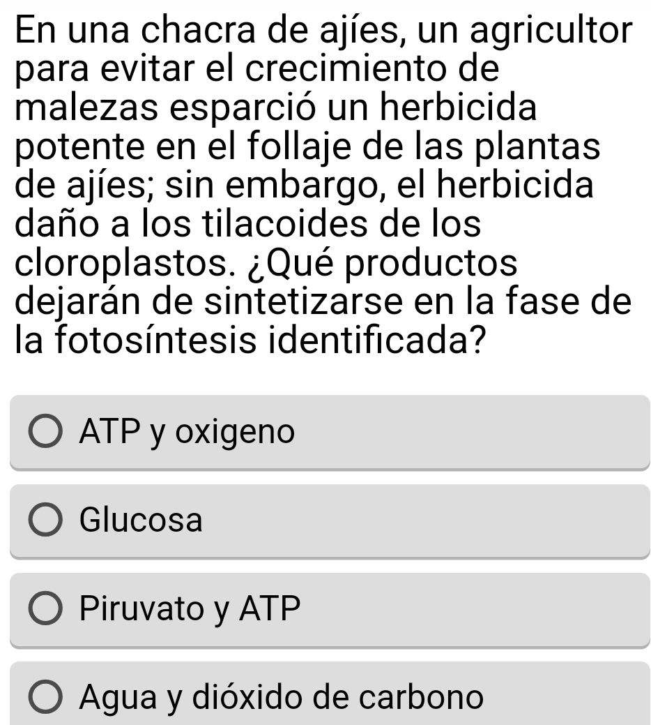 En una chacra de ajíes, un agricultor
para evitar el crecimiento de
malezas esparció un herbicida
potente en el follaje de las plantas
de ajíes; sin embargo, el herbicida
daño a los tilacoides de los
cloroplastos. ¿Qué productos
dejarán de sintetizarse en la fase de
la fotosíntesis identificada?
ATP y oxigeno
Glucosa
Piruvato y ATP
Agua y dióxido de carbono