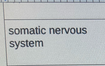 somatic nervous 
system