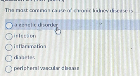 The most common cause of chronic kidney disease is_
a genetic disorder
infection
inflammation
diabetes
peripheral vascular disease