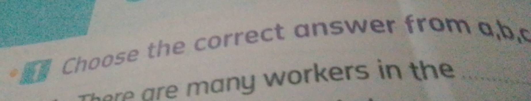 Choose the correct answer from a, b, c
n y w orkers in th _