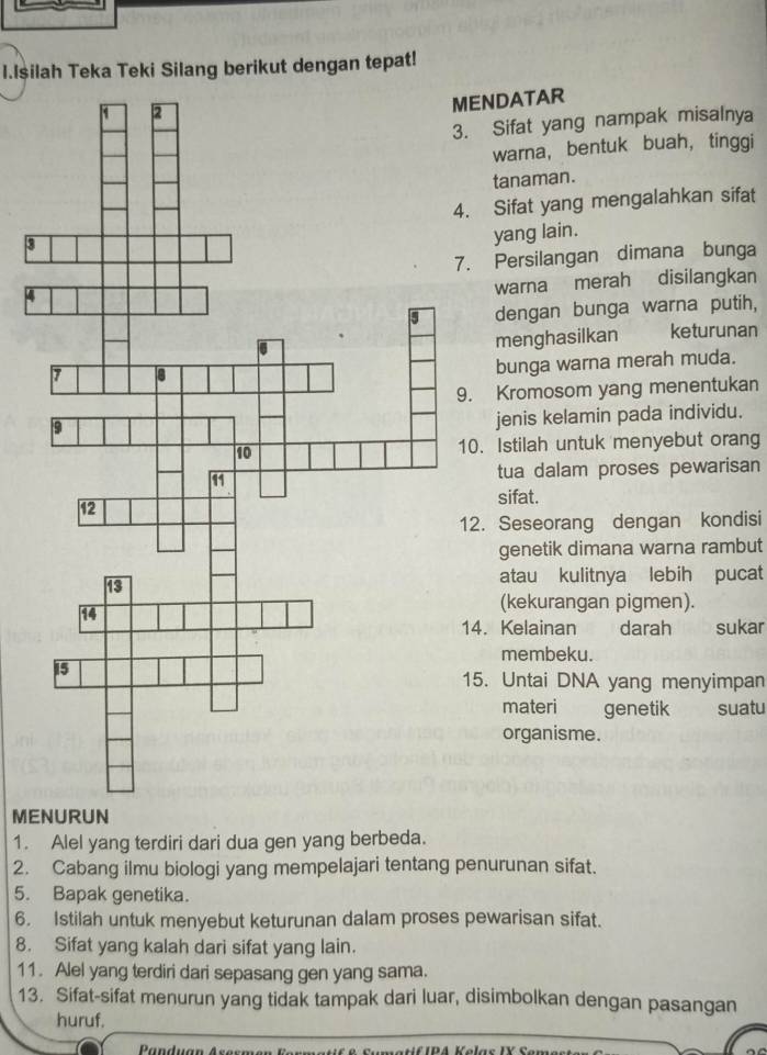 Isilah Teka Teki Silang berikut dengan tepat! 
NDATAR 
Sifat yang nampak misalnya 
warna， bentuk buah， tinggi 
tanaman. 
Sifat yang mengalahkan sifat 
3 
yang lain. 
Persilangan dimana bunga
4
warna merah disilangkan 
dengan bunga warna putih, 
menghasilkan keturunan 
bunga warna merah muda. 
Kromosom yang menentukan 
jenis kelamin pada individu. 
. Istilah untuk menyebut orang 
tua dalam proses pewarisan 
sifat. 
. Seseorang dengan kondisi 
genetik dimana warna rambut 
atau kulitnya lebih pucat 
(kekurangan pigmen). 
. Kelainan darah sukar 
membeku. 
5. Untai DNA yang menyimpan 
materi genetik suatu 
organisme. 
MENURUN 
1. Alel yang terdiri dari dua gen yang berbeda. 
2. Cabang ilmu biologi yang mempelajari tentang penurunan sifat. 
5. Bapak genetika. 
6. Istilah untuk menyebut keturunan dalam proses pewarisan sifat. 
8. Sifat yang kalah dari sifat yang lain. 
11. Alel yang terdiri dari sepasang gen yang sama. 
13. Sifat-sifat menurun yang tidak tampak dari luar, disimbolkan dengan pasangan 
huruf. 
Panduan