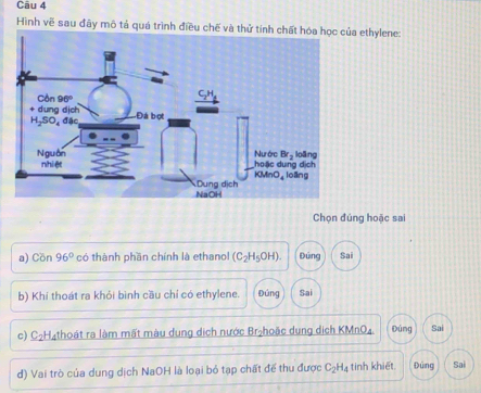 Cāu 4
Hình vẽ sau đây mô tả quá trình điều chế va ethylene:
Chọn đúng hoặc sai
a) Cön 96° có thành phần chính là ethanol (C_2H_5OH). Đúng Sai
b) Khí thoát ra khỏi bình cầu chỉ có ethylene. Đúng Sai
c) C₂H4thoát ra làm mất màu dung dịch nước Brịhoặc dung dịch KMnO₄. Đúng Sai
d) Vai trò của dung dịch NaOH là loại bỏ tạp chất để thu được C_2H_4 tinh khiết Đúng Sai