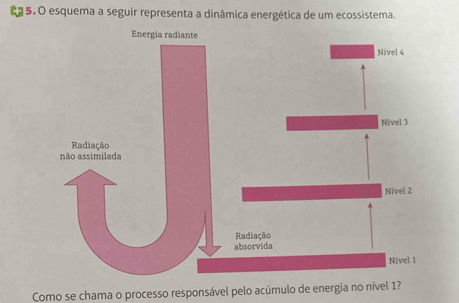 esquema a seguir representa a dinâmica energética de um ecossistema. 
Como se chama o processo responsável pelo acúmulo de energia no nível 1?