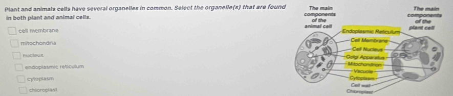 Plant and animals cells have several organelles in common. Select the organelle(s) that are foun
in both plant and animal cells.
cell membrane
mitochondria
nucieus
endoplasmic reticulum
cytoplasm
chloroplast
Chioropliest