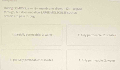 During OSMOSIS, a —(1)— membrane allows --(2)—_ to pass
through, but does not allow LARGE MOLECULES such as
proteins to pass through.
1: partially permeable; 2: water 1: fully permeable; 2: solutes
1: partially permeable; 2: solutes 1: fully permeable; 2: water