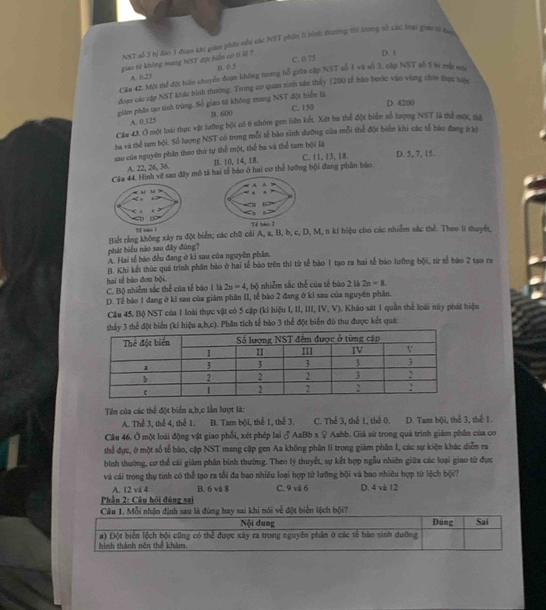 NST số 3 bị đảo 1 đoạn khi giám phần nếu các NST phần lì bình thrương thi trong số các loại giáo tả đướ
giao từ không mang NST đột biển có tỉ lệ ?
D. 1
A. 0.25 B. 0.5 C. 0.75
Câu 42. Một thể đột biển chuyển đoạn không tương hỗ giữa cập NST số 1 và số 3, cặp NST số 5 bị mắt một
đoạn các cập NST khác bình thường. Trong cơ quan sinh sản thủy 1200 tế báo bước vào vùng chin thực hiện
giám phân tạo tinh trùng. Số giao tử không mang NST đột biển là
C. 150 D. 4200
A. 0,125 B. 600
Câu 43. Ở một loài thực vật lưỡng bội có 6 nhóm gen liên kết. Xét ba thể đột biển số lượng NST là thể một, thể
ba và thể tam bội. Số lượng NST có trong mỗi tế bào sinh dưỡng của mỗi thể đột biến khi các tế bào đang ở kỷ
sau của nguyên phân theo thử tự thể một, thể ba và thể tam bội lã
A. 22, 26, 36. B. 10, 14, 18. C. 11, 13, 18. D. 5, 7, 15.
Câu 44. Hình vẽ sau đây mô tả hai tế bào ở hai cơ thể lưỡng bội đang phân bào.
A A
M
B B
Tế bảo 1 Tế bão 2
Biết rằng không xảy ra đột biển; các chữ cái A, a, B, b, c, D, M, n kí hiệu cho các nhiêm sắc thể. Theo lí thuyết,
phát biểu nào sau đây đúng?
A. Hai tế bào đều đang ở kì sau của nguyên phân.
B. Khi kết thúc quá trình phân bảo ở hai tế bào trên thì tử tế bảo 1 tạo ra hai tế bảo lưỡng bội, từ tế bào 2 tạo ra
hai tế bào đơn bội.
C. Bộ nhiễm sắc thể của tế bão 1 là 2n=4 3, bộ nhiễm sắc thể của tế bào 2 là 2n=8.
D. Tế bào 1 đang ở kỉ sau của giâm phân II, tế bảo 2 đang ở kỉ sau của nguyên phân.
Câu 45. Bộ NST của 1 loài thực vật có 5 cặp (kỉ hiệu I, II, III, IV, V). Khảo sát 1 quần thể loài này phát hiện
iệu a,b,c). Phân tích tế bào 3 thể đột biến đó thu được kết quả:
Tên của các thể đột biến a,b,c lần lượt là:
A. Thể 3, thể 4, thể 1. B. Tam bội, thể 1, thể 3. C. Thể 3, thể 1, thế 0. D. Tam bội, thể 3, thể 1.
Câu 46. Ở một loài động vật giao phối, xét phép lai 3 Aa Bb x ♀ Aabb. Giả sử trong quá trình giảm phân của cơ
thể dực, ở một số tế bào, cặp NST mang cặp gen Aa không phân li trong giảm phân I, các sự kiện khác diễn ra
bình thường, cơ thể cái giảm phân bình thường. Theo lý thuyết, sự kết hợp ngẫu nhiên giữa các loại giao tử đực
và cái trong thụ tinh có thể tạo ra tổi đa bao nhiêu loại hợp tử lưỡng bội và bao nhiêu hợp tử lệch bội?
A. 12 và 4 B. 6 và 8 C. 9 và 6 D. 4 và 12
Phần 2: Câu hỏi đúng sai
