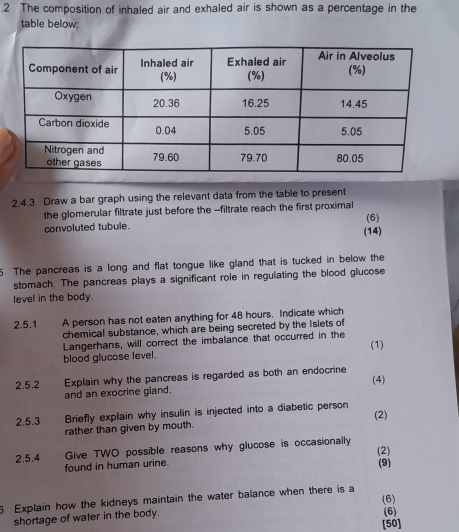 .2 The composition of inhaled air and exhaled air is shown as a percentage in the 
table below; 
2.4.3 Draw a bar graph using the relevant data from the table to present 
the glomerular filtrate just before the -filtrate reach the first proximal (6) 
convoluted tubule. (14) 
5 The pancreas is a long and flat tongue like gland that is tucked in below the 
stomach. The pancreas plays a significant role in regulating the blood glucose 
level in the body. 
2.5.1 A person has not eaten anything for 48 hours. Indicate which 
chemical substance, which are being secreted by the Islets of 
Langerhans, will correct the imbalance that occurred in the 
blood glucose level. (1) 
2.5.2 Explain why the pancreas is regarded as both an endocrine (4) 
and an exocrine gland. 
2.5.3 Briefly explain why insulin is injected into a diabetic person (2) 
rather than given by mouth. 
2.5.4 Give TWO possible reasons why glucose is occasionally 
found in human urine. (2) (9) 
5 Explain how the kidneys maintain the water balance when there is a (6) 
shortage of water in the body. (6) 
[50]