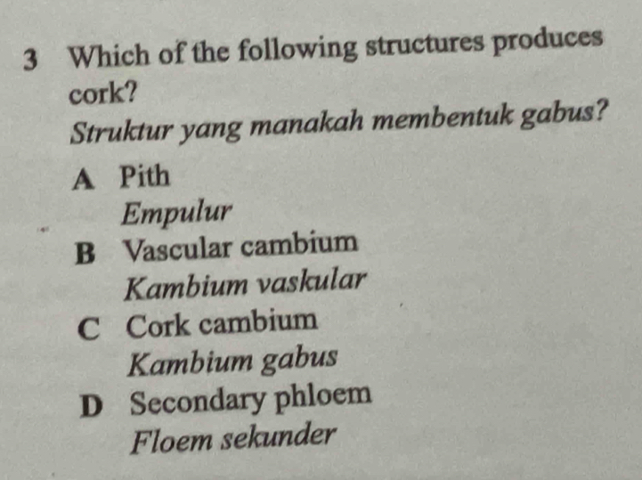 Which of the following structures produces
cork?
Struktur yang manakah membentuk gabus?
A Pith
Empulur
B Vascular cambium
Kambium vaskular
C Cork cambium
Kambium gabus
D Secondary phloem
Floem sekunder