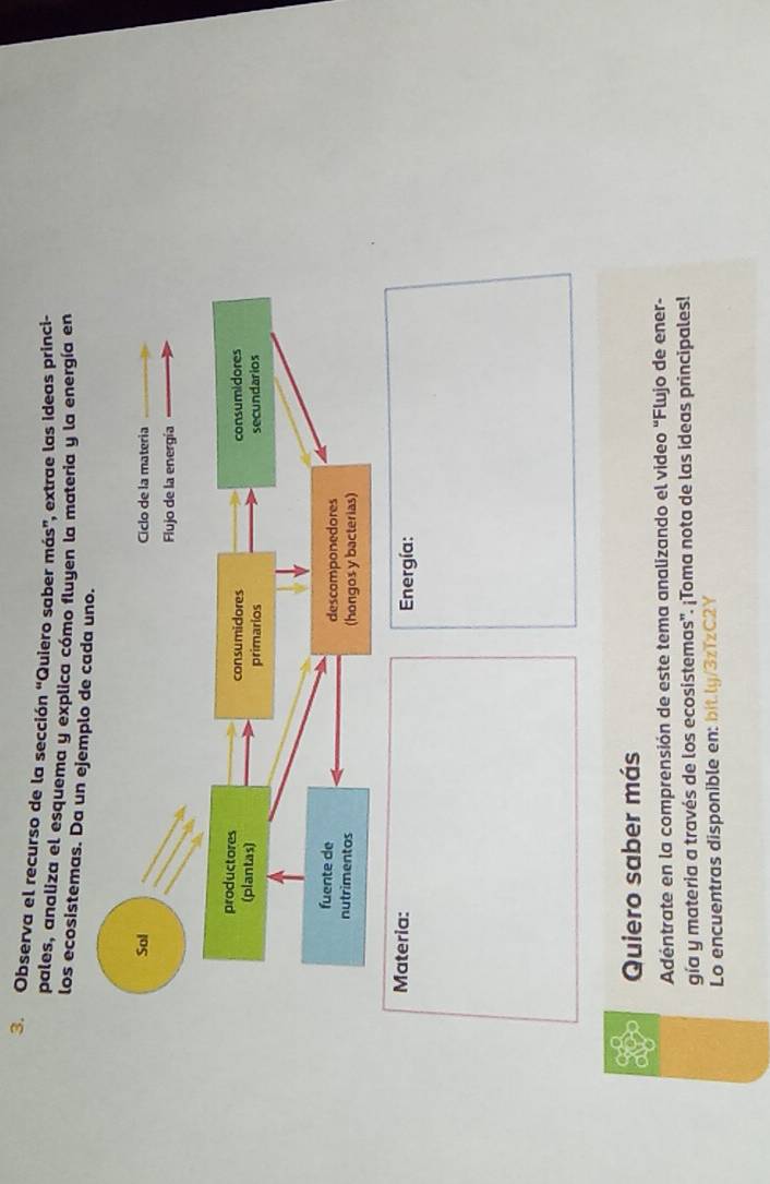 Observa el recurso de la sección “Quiero saber más”, extrae las ideas princi- 
pales, analiza el esquema y explica cómo fluyen la materia y la energía en 
los ecosistemas. Da un ejempl 
Materia: Energía: 
Quiero saber más 
Adentrate en la comprensión de este tema analizando el video “Flujo de ener- 
gía y materia a través de los ecosistemas'. ¡Toma nota de las ideas principales! 
Lo encuentras disponible en: bit.ly/3zïzC2Y