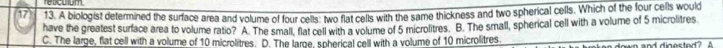 17 13. A biologist determined the surface area and volume of four cells: two flat cells with the same thickness and two spherical cells. Which of the four cells would
have the greatest surface area to volume ratio? A. The small, flat cell with a volume of 5 microlitres. B. The small, spherical cell with a volume of 5 microlitres
C. The large, flat cell with a volume of 10 microlitres. D. The lame, spherical cell with a volume of 10 microlitres