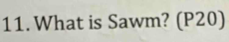 What is Sawm? (P20)