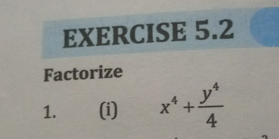 Factorize 
1. (i) x^4+ y^4/4 