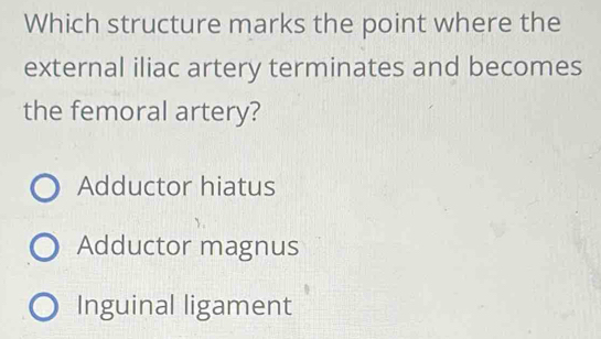 Which structure marks the point where the
external iliac artery terminates and becomes
the femoral artery?
Adductor hiatus
Adductor magnus
Inguinal ligament