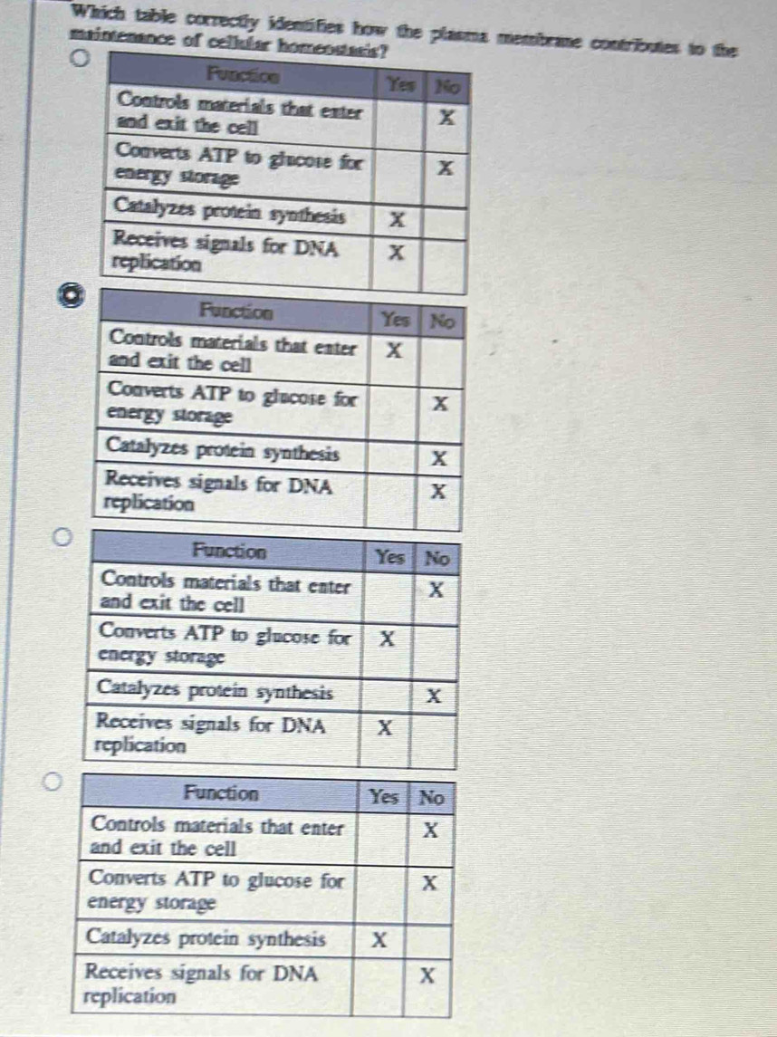 Which table correctly identifies how the plasma membrane contributes to the 
maintenance of cell