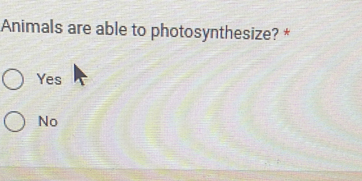 Animals are able to photosynthesize? *
Yes
No