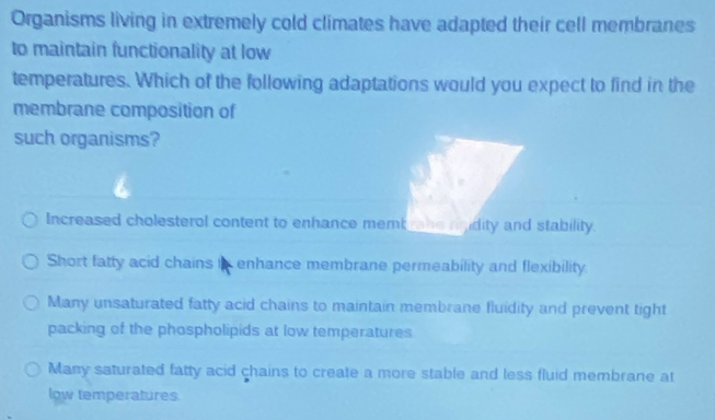 Organisms living in extremely cold climates have adapted their cell membranes
to maintain functionality at low
temperatures. Which of the following adaptations would you expect to find in the
membrane composition of
such organisms?
Increased cholesterol content to enhance memb ane nnidity and stability.
Short fatty acid chains in enhance membrane permeability and flexibility.
Many unsaturated fatty acid chains to maintain membrane fluidity and prevent tight
packing of the phospholipids at low temperatures
Many saturated fatty acid chains to create a more stable and less fluid membrane at
low temperatures.