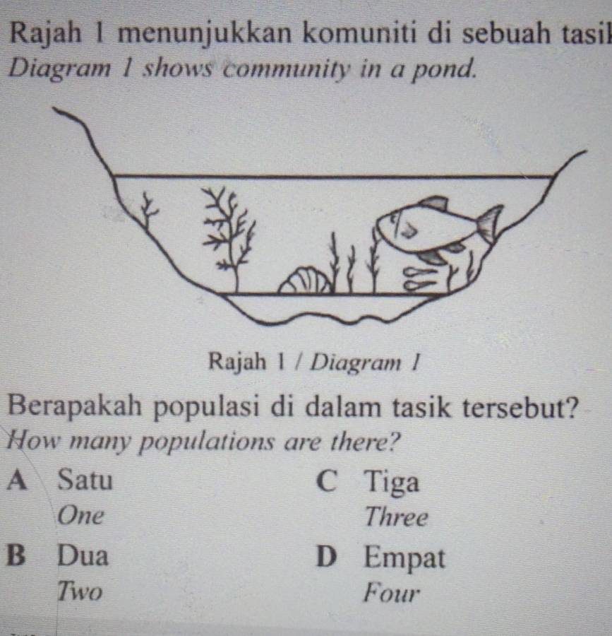 Rajah 1 menunjukkan komuniti di sebuah tasil
Diagram 1 shows community in a pond.
Rajah 1 / Diagram I
Berapakah populasi di dalam tasik tersebut?
How many populations are there?
A Satu C Tiga
One Three
B Dua D Empat
Two Four