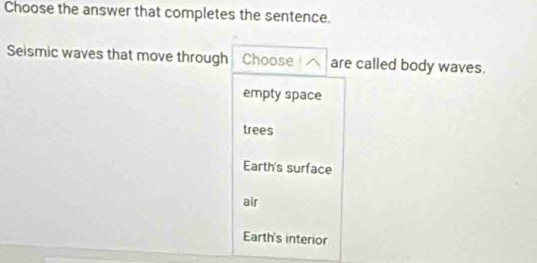 Choose the answer that completes the sentence.
Seismic waves that move through Choose are called body waves.
empty space
trees
Earth's surface
air
Earth's interior