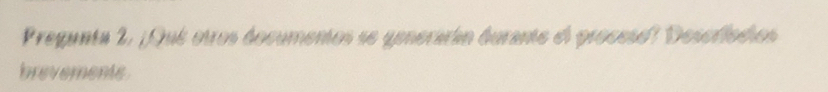 Pregunta 2, ¿Qué otros documentos se generarán durante el proceso? Descrlodios 
brevemente