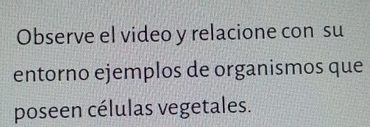 Observe el video y relacione con su 
entorno ejemplos de organismos que 
poseen células vegetales.