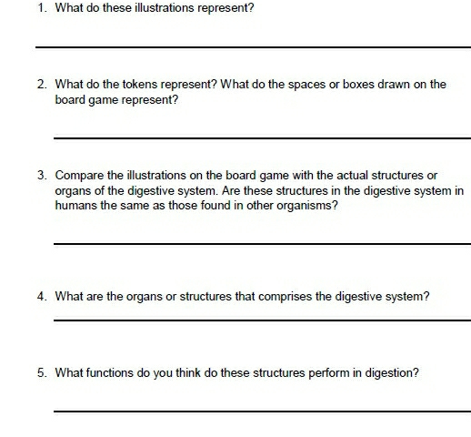 What do these illustrations represent? 
_ 
2. What do the tokens represent? What do the spaces or boxes drawn on the 
board game represent? 
_ 
3. Compare the illustrations on the board game with the actual structures or 
organs of the digestive system. Are these structures in the digestive system in 
humans the same as those found in other organisms? 
_ 
4. What are the organs or structures that comprises the digestive system? 
_ 
5. What functions do you think do these structures perform in digestion? 
_
