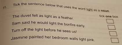 Tick the sentence below that uses the word light as a noun
tick one box
The duvet felt as light as a feather.
Sam said he would light the bonfire early.
Turn off the light before he sees us!
Jasmine painted her bedroom walls light pink.