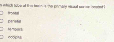 which lobe of the brain is the primary visual cortex located?
frontal
parietal
temporal
occipital