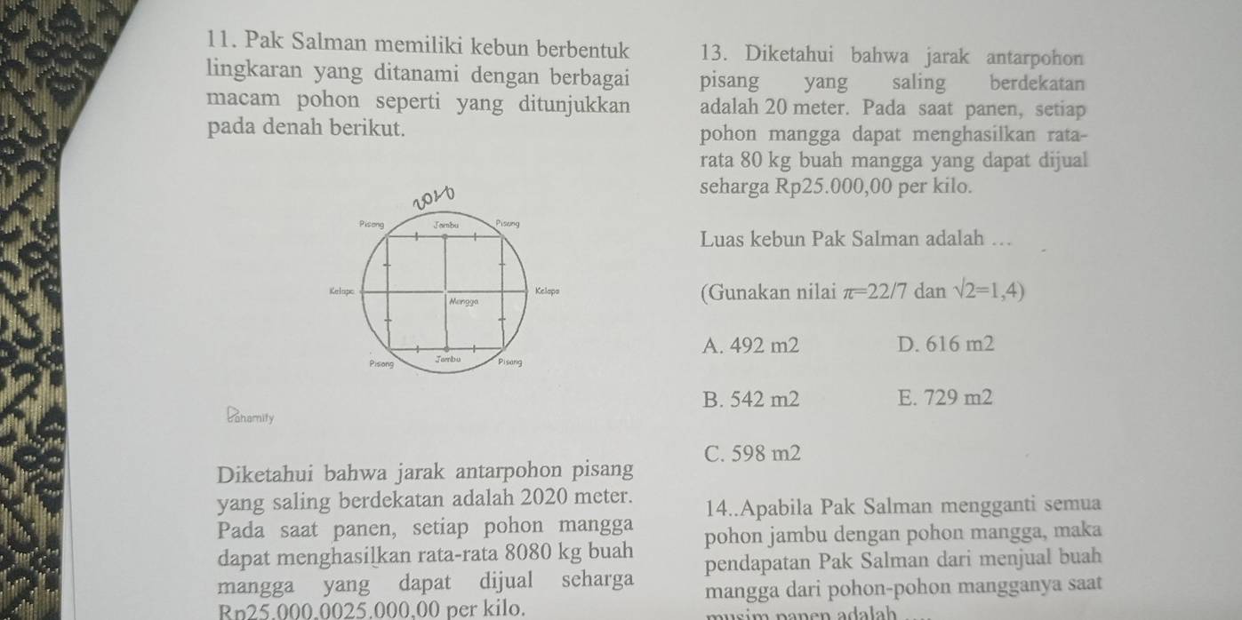 Pak Salman memiliki kebun berbentuk 13. Diketahui bahwa jarak antarpohon
lingkaran yang ditanami dengan berbagai pisang yang saling berdekatan
macam pohon seperti yang ditunjukkan adalah 20 meter. Pada saat panen, setiap
pada denah berikut. pohon mangga dapat menghasilkan rata-
rata 80 kg buah mangga yang dapat dijual
seharga Rp25.000,00 per kilo.
Luas kebun Pak Salman adalah …
(Gunakan nilai π =22/7 dan sqrt(2)=1,4)
A. 492 m2 D. 616 m2
B. 542 m2 E. 729 m2
Canamity
C. 598 m2
Diketahui bahwa jarak antarpohon pisang
yang saling berdekatan adalah 2020 meter. 14..Apabila Pak Salman mengganti semua
Pada saat panen, setiap pohon mangga
dapat menghasilkan rata-rata 8080 kg buah pohon jambu dengan pohon mangga, maka
pendapatan Pak Salman dari menjual buah
mangga yang dapat dijual scharga mangga dari pohon-pohon mangganya saat
Rp25 000 0025 000 00 per kilo.