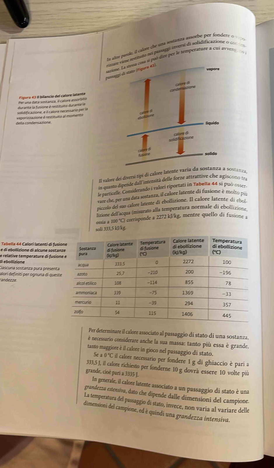 In altre parole, il calore che una sostanza assorbe per fordere o  v   
restituto nei passaggi inversi di solidificazion e   
i può dire per le temperature a cui av ver
Figura 43 Il bilancio del calore latente
Per una data sostanza, il calore assorbito
durante la fusione è restituito durante la
solidificazione, e il calore necessarío per la
vaporizzazione é restituíto all momento
della condensazione.
Il valore dei diversi típi di calore latente vari sostanza,
in quanto dipende dall'intensità delle forze attrattive che agiscono tra
le particelle. Considerando i valori riportati in Tabella 44 sí pu ó osses
vare che, per una data sostanza, il calore latente di fusione è molto pil
piccolo del suo calore latente di ebollizione. Il calore latente di ebol
lizione dell'acqua (misurato alla temperatura normale di ebollizione,
ossia a 100°C) corrisponde a 2272 kJ/kg, mentre quello di fusione a
soli 333,5 kJ/kg.
Tabella 44 Calori latenti di fus
e di ebollizione di alcune sosta
e relative temperature di fusio
di ebollizione
Ciascura sostanza pura presenta
alori definíti per ognuna di quest
randezze. 
Per determinare il calore associato al passaggio di stato di una sostanza,
è necessario considerare anche la sua massa: tanto più essa è grande,
tanto maggiore è il calore in gioco nel passaggio di stato.
Se a 0°C il calore necessario per fondere 1 g di ghiaccio è pari a
333,5 J, il calore richiesto per fonderne 10 g dovrà essere 10 volte più
grande, cioè pari a 3335 J.
In generale, il calore latente associato a un passaggio di stato è una
grandezza estensiva, dato che dipende dalle dimensioni del campione.
La temperatura del passaggio di stato, invece, non varia al variare delle
dimensioni del campione, ed è quindi una grandezza intensiva.