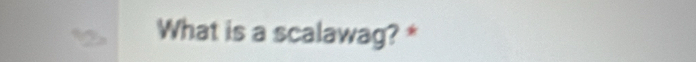 What is a scalawag? *