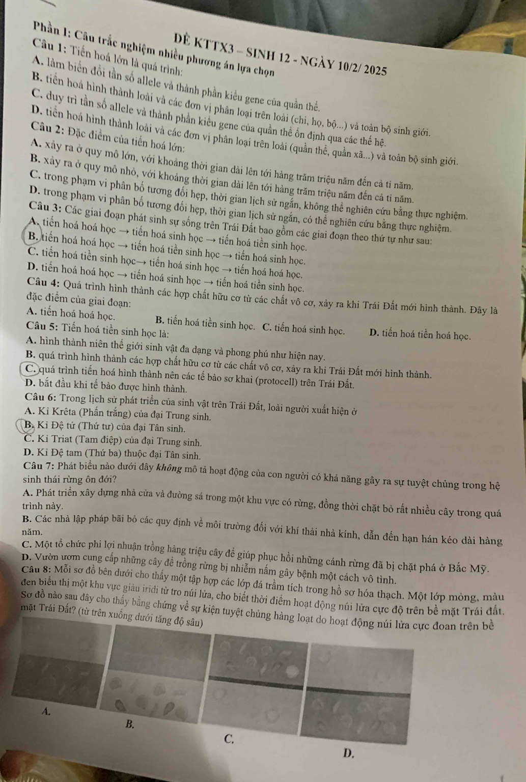 Phần 1: Câu trắc nghiệm nhiều phương án lựa chọn
ĐE KTTX3 - sinH 12 - ngày 10/2/ 2025
Câu 1: Tiến hoá lớn là quá trình:
A. làm biến đổi tần số allele và thành phần kiều gene của quần thể.
B. tiền hoá hình thành loài và các đơn vị phân loại trên loài (chi, họ, bộ...) và toàn bộ sinh giới
C. duy trì tần số allele và thành phản kiêu gene của quần thể ôn định qua các thế hệ
Câu 2: Đặc điểm của tiến hoá lớn:
D. tiền hoá hình thành loài và các đơn vị phân loại trên loài (quần thể, quần xã...) và toàn bộ sinh giới
A. xây ra ở quy mô lớn, với khoảng thời gian dài lên tới hàng trăm triệu năm đến cả tỉ năm.
B. xảy ra ở quy mô nhỏ, với khoảng thời gian dài lên tới hàng trăm triệu năm đến cả tỉ năm.
C. trong phạm vi phân bố tương đổi hẹp, thời gian lịch sử ngắn, không thể nghiên cứu bằng thực nghiệm.
D. trong phạm vi phân bố tương đối hẹp, thời gian lịch sử ngắn, có thể nghiên cứu bằng thực nghiệm.
Câu 3: Các giai đoạn phát sinh sự sống trên Trái Đất bao gồm các giai đoạn theo thứ tự như sau:
A tiến hoá hoá học → tiến hoá sinh học → tiến hoá tiền sinh học.
B. tiến hoá hoá học → tiến hoá tiền sinh học → tiến hoá sinh học.
C. tiến hoá tiền sinh học→ tiến hoá sinh học → tiến hoá hoá học.
D. tiến hoá hoá học → tiến hoá sinh học → tiến hoá tiền sinh học.
Câu 4: Quá trình hình thành các hợp chất hữu cơ từ các chất vô cơ, xảy ra khi Trái Đất mới hình thành. Đây là
đặc điểm của giai đoạn:
A. tiến hoá hoá học. B. tiến hoá tiền sinh học. C. tiến hoá sinh học. D. tiến hoá tiền hoá học.
Câu 5: Tiến hoá tiền sinh học là:
A. hình thành niên thế giới sinh vật đa dạng và phong phú như hiện nay.
B. quá trình hình thành các hợp chất hữu cơ từ các chất vô cơ, xảy ra khi Trái Đất mới hình thành.
C. quá trình tiến hoá hình thành nên các tế bào sơ khai (protocell) trên Trái Đất.
D. bắt đầu khi tế bào được hình thành.
Câu 6: Trong lịch sử phát triển của sinh vật trên Trái Đất, loài người xuất hiện ở
A. Ki Krêta (Phần trắng) của đại Trung sinh.
B. Kỉ Đệ tứ (Thứ tư) của đại Tân sinh.
C. Kỉ Triat (Tam điệp) của đại Trung sinh.
D. Ki Đệ tam (Thứ ba) thuộc đại Tân sinh.
Câu 7: Phát biểu nào dưới đây không mô tả hoạt động của con người có khả năng gây ra sự tuyệt chủng trong hệ
sinh thái rừng ôn đới?
A. Phát triển xây dựng nhà cửa và đường sá trong một khu vực có rừng, đồng thời chặt bỏ rất nhiều cây trong quá
trình này.
B. Các nhà lập pháp bãi bỏ các quy định về môi trường đối với khí thải nhà kính, dẫn đến hạn hán kéo dài hàng
năm.
C. Một tổ chức phi lợi nhuận trồng hàng triệu cây đề giúp phục hồi những cánh rừng đã bị chặt phá ở Bắc Mỹ.
D. Vườn ươm cung cấp những cây để trồng rừng bị nhiễm nấm gây bệnh một cách vô tình.
Cầu 8: Mỗi sơ đồ bên dưới cho thấy một tập hợp các lớp đá trầm tích trong hồ sơ hóa thạch. Một lớp mỏng, màu
đen biểu thị một khu vực giàu iridi từ tro núi lửa, cho biết thời điểm hoạt động núi lửa cực độ trên bề mặt Trái đất.
Sơ đồ nào sau đây cho thấy bằng chứng về sự kiện tuyệtn bề
mặt Trái Đất? (từ trê