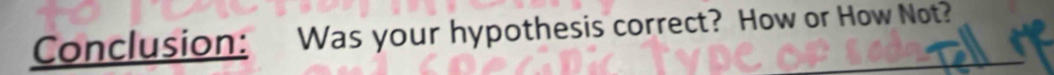 Conclusion: Was your hypothesis correct? How or How Not?