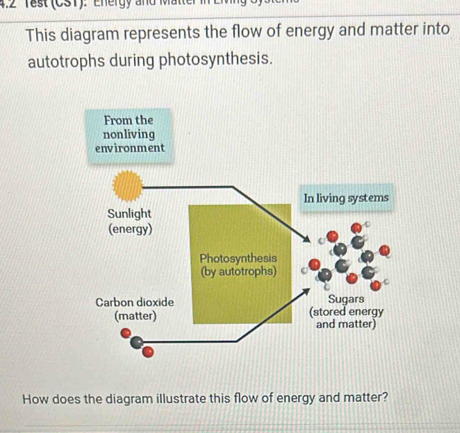 4.2 Test (CST): Energy and Matter 
This diagram represents the flow of energy and matter into 
autotrophs during photosynthesis. 
From the 
nonliving 
environment 
How does the diagram illustrate this flow of energy and matter?