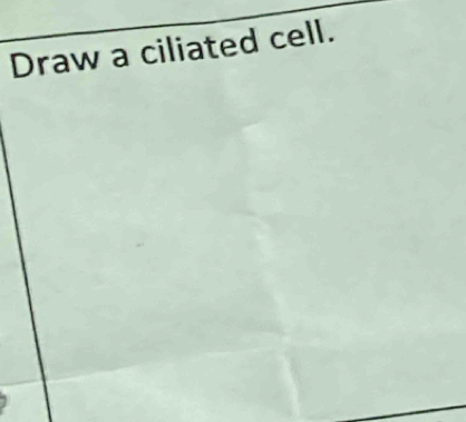 Draw a ciliated cell.