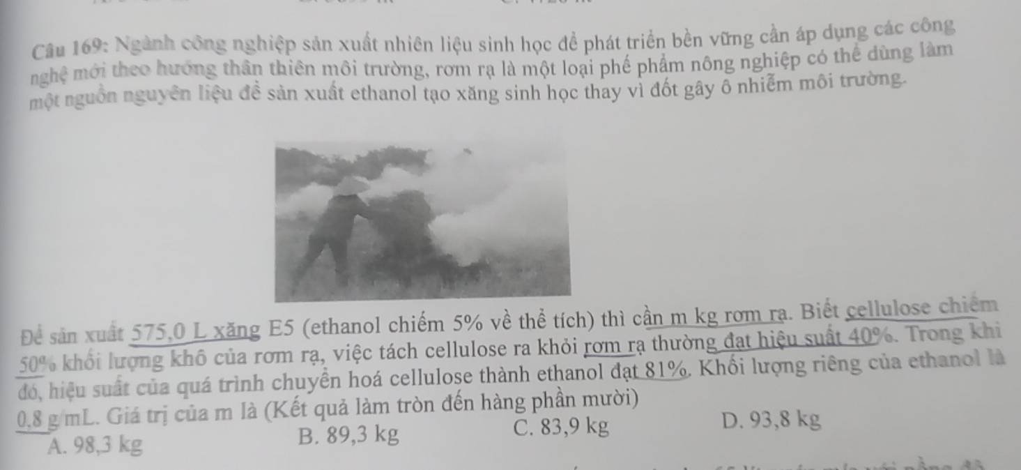 Ngành công nghiệp sản xuất nhiên liệu sinh học để phát triển bền vững cần áp dụng các công
mghệ mới theo hướng thân thiên môi trường, rơm rạ là một loại phế phẩm nông nghiệp có thể dùng làm
một nguồn nguyên liệu đề sản xuất ethanol tạo xăng sinh học thay vì đốt gây ô nhiễm môi trường.
Để sản xuất 575,0 L xăng E5 (ethanol chiếm 5% về thể tích) thì cần m kg rom rạ. Biết cellulose chiếm
50% khối lượng khô của rơm rạ, việc tách cellulose ra khỏi rơm rạ thường đạt hiệu suất 40%. Trong khi
đó, hiệu suất của quá trình chuyển hoá cellulose thành ethanol đạt 81%. Khối lượng riêng của ethanol là
0,8 g/mL. Giá trị của m là (Kết quả làm tròn đến hàng phần mười)
A. 98,3 kg B. 89,3 kg
C. 83,9 kg D. 93,8 kg