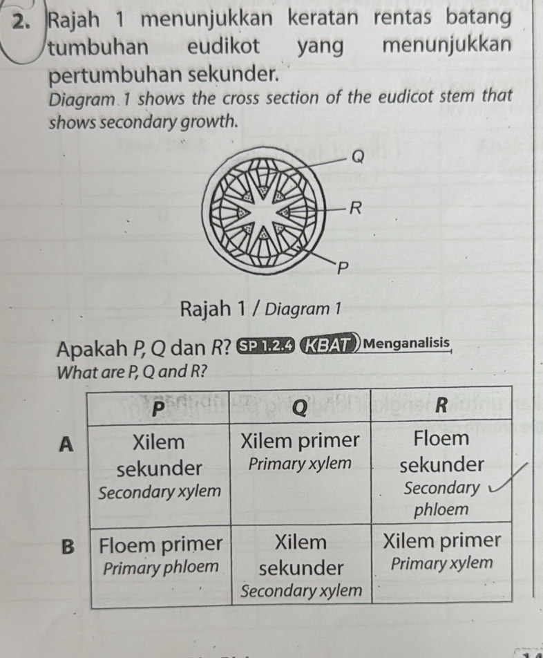 Rajah 1 menunjukkan keratan rentas batang 
tumbuhan eudikot yang menunjukkan 
pertumbuhan sekunder. 
Diagram 1 shows the cross section of the eudicot stem that 
shows secondary growth. 
Rajah 1 / Diagram 1 
Apakah P, Q dan R? SP 1.2.4 KBAT ) Menganalisis, 
What are P, Q and R?