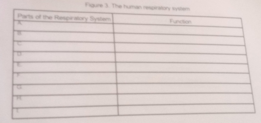 Figure 3. The