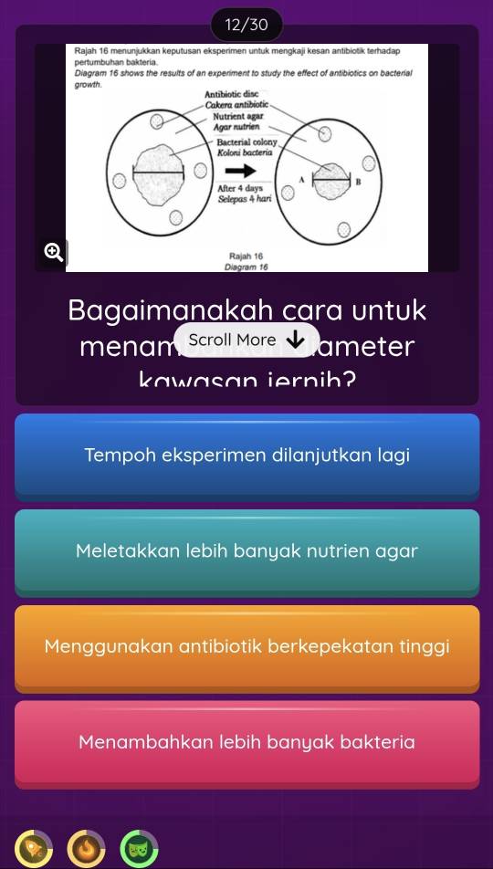 12/30
Rajah 16 menunjukkan keputusan eksperimen untuk mengkaji kesan antibiotik terhadap
pertumbuhan bakteria.
Diagram 16 shows the results of an experiment to study the effect of antibiotics on bacterial
growth .
④
Diagram 16
Bagaimanakah cara untuk
menam Scroll More ameter
kawasan iernih?
Tempoh eksperimen dilanjutkan lagi
Meletakkan lebih banyak nutrien agar
Menggunakan antibiotik berkepekatan tinggi
Menambahkan lebih banyak bakteria