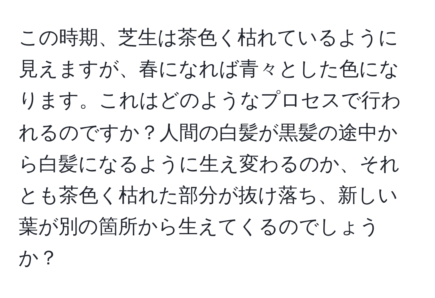 この時期、芝生は茶色く枯れているように見えますが、春になれば青々とした色になります。これはどのようなプロセスで行われるのですか？人間の白髪が黒髪の途中から白髪になるように生え変わるのか、それとも茶色く枯れた部分が抜け落ち、新しい葉が別の箇所から生えてくるのでしょうか？