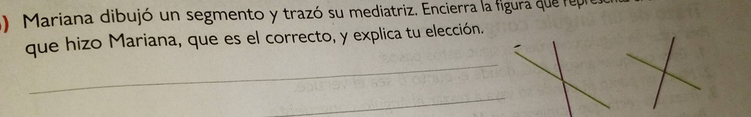 Mariana dibujó un segmento y trazó su mediatriz. Encierra la figura que repre 
que hizo Mariana, que es el correcto, y explica tu elección. 
_ 
_