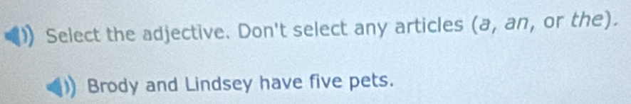 Select the adjective. Don't select any articles (a, an, or the). 
Brody and Lindsey have five pets.