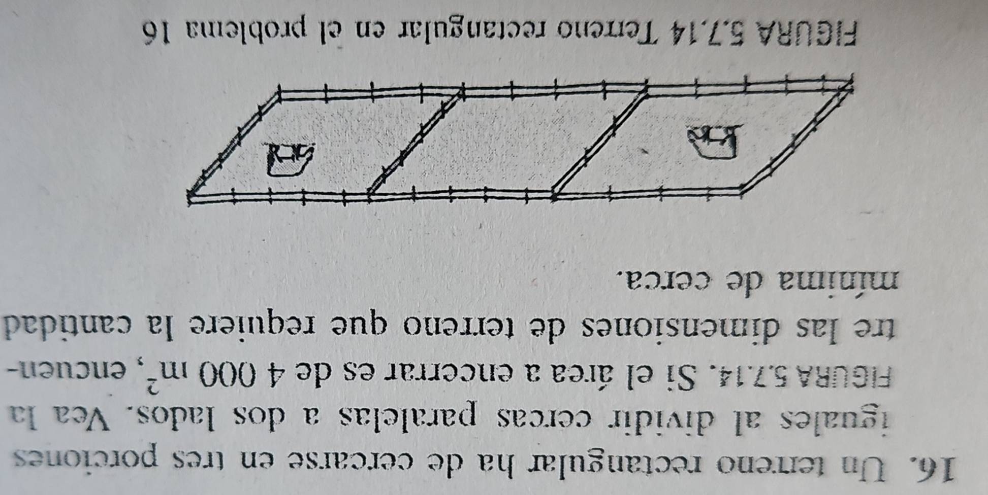 Un terreno rectangular ha de cercarse en tres porciones 
iguales al dividir cercas paralelas a dos lados. Vea la 
FIGURA 5.7.14. Si el área a encerrar es de 4000m^2 , encuen- 
tre las dimensiones de terreno que requiere la cantidad 
mínima de cerca. 
FIGURA 5,7.14 Terreno rectangular en el problema 16