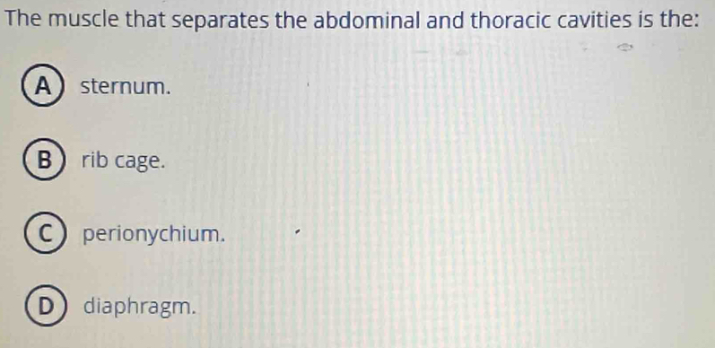 The muscle that separates the abdominal and thoracic cavities is the:
A sternum.
B rib cage.
C perionychium.
Ddiaphragm.