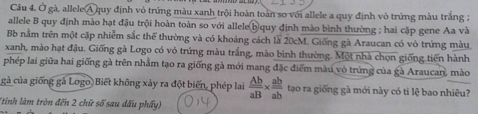 mo aciay. 
Câu 4. Ở gà, allele A quy định vỏ trứng màu xanh trội hoàn toàn so với allele a quy định vỏ trứng màu trắng ; 
allele B quy định mào hạt đậu trội hoàn toàn so với allele b quy định mào bình thường ; hai cặp gene Aa và 
B nằm trên một cặp nhiễm sắc thể thường và có khoảng cách là 20cM. Giống gà Araucan có vỏ trứng màu 
xanh, mào hạt đậu. Giống gà Lơgo có vỏ trứng màu trắng, mào bình thường. Một nhà chọn giống tiến hành 
phép lai giữa hai giống gà trên nhằm tạo ra giống gà mới mang đặc diểm màu vỏ trứng của gà Araucan, mào 
gà của giống gà Logo. Biết không xảy ra đột biến, phép lai frac _ AbaB*  ab/ab  tạo ra giống gà mới này có tỉ lệ bao nhiêu? 
(tính làm tròn đến 2 chữ số sau dấu phẩy)