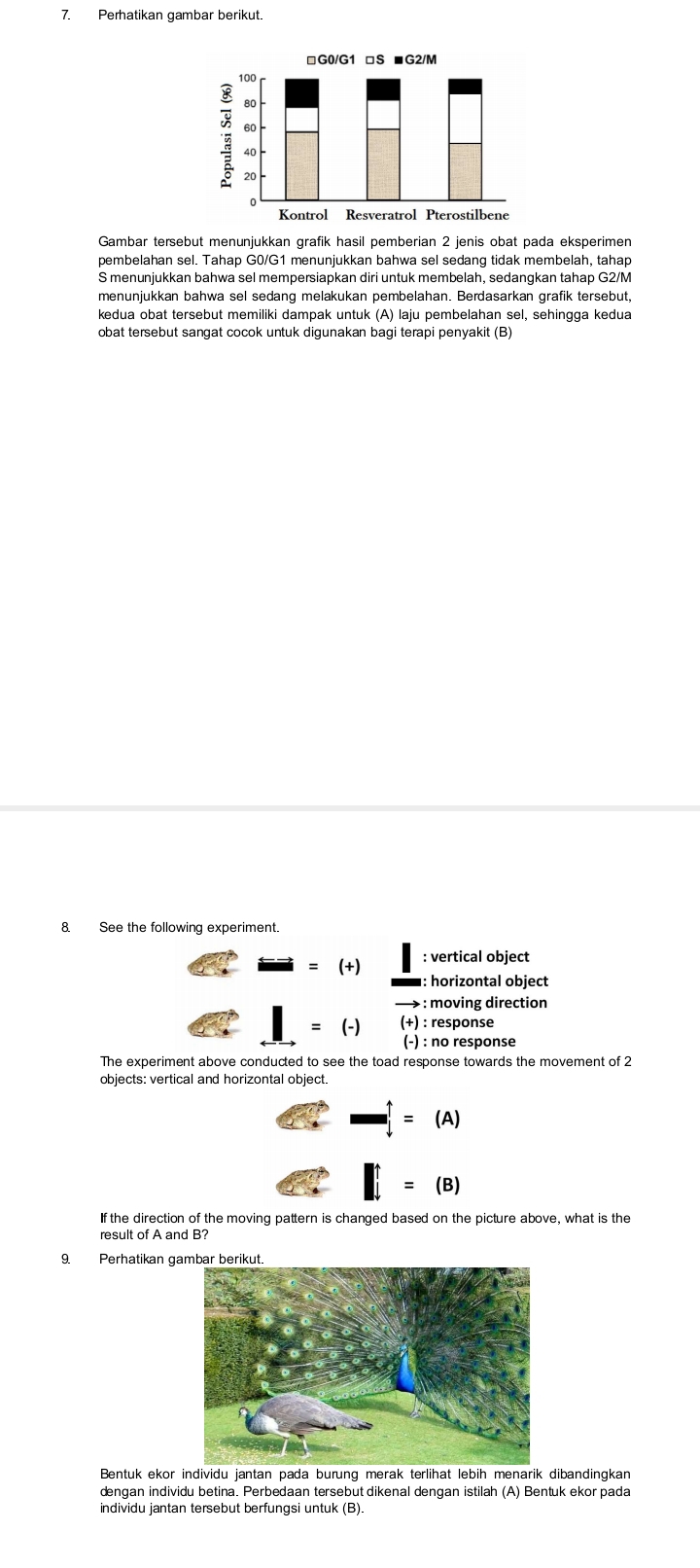 Perhatikan gambar berikut. 
Gambar tersebut menunjukkan grafik hasil pemberian 2 jenis obat pada eksperimen 
pembelahan sel. Tahap G0/G1 menunjukkan bahwa sel sedang tidak membelah, tahap 
S menunjukkan bahwa sel mempersiapkan diri untuk membelah, sedangkan tahap G2/M
menunjukkan bahwa sel sedang melakukan pembelahan. Berdasarkan grafik tersebut, 
kedua obat tersebut memiliki dampak untuk (A) laju pembelahan sel, sehingga kedua 
obat tersebut sangat cocok untuk digunakan bagi terapi penyakit (B) 
8. See the following experiment. 
= (+) : vertical object 
: horizontal object 
: moving direction 
(- (+) : response 
(-) : no response 
The experiment above conducted to see the toad response towards the movement of 2
objects: vertical and horizontal object. 
(A) 
If the direction of the moving pattern is changed based on the picture above, what is the 
result of A and B? 
9. Perhatikan g 
Bentuk ekor individu jantan pada burüng merak terlihat lebih menarik dibandingkar 
dengan individu betina. Perbedaan tersebut dikenal dengan istilah (A) Bentuk ekor pada 
individu jantan tersebut berfungsi untuk (B).