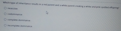 Which type of inheritance results in a red parent and a white parent creating a white and pink spotted offspring?
recessive
codominance
complete dominance
incomplete dominance