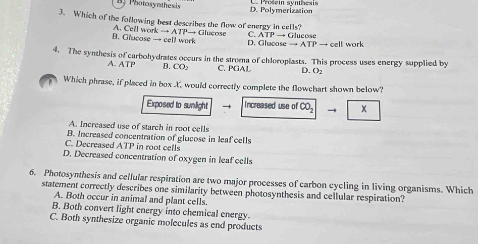 C. Protein synthesis
By Photosynthesis D. Polymerization
3、 Which of the following best describes the flow of energy in cells?
A. Cell work → ATP→ Glucose C. ATP → Glucose
B. Glucose → cell work D. Glucose → ATP → cell work
4. The synthesis of carbohydrates occurs in the stroma of chloroplasts. This process uses energy supplied by
A. ATP B. CO_2 C. PGAL D. O_2
Which phrase, if placed in box X, would correctly complete the flowchart shown below?
Exposed to sunlight Increased use of CO_2 x
A. Increased use of starch in root cells
B. Increased concentration of glucose in leaf cells
C. Decreased ATP in root cells
D. Decreased concentration of oxygen in leaf cells
6. Photosynthesis and cellular respiration are two major processes of carbon cycling in living organisms. Which
statement correctly describes one similarity between photosynthesis and cellular respiration?
A. Both occur in animal and plant cells.
B. Both convert light energy into chemical energy.
C. Both synthesize organic molecules as end products